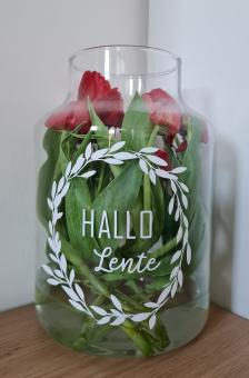 images/productimages/small/sticker-hallo-lente.jpg
