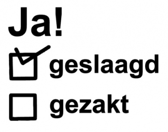 images/productimages/small/strijkapplicatie-ja-geslaagd.jpg